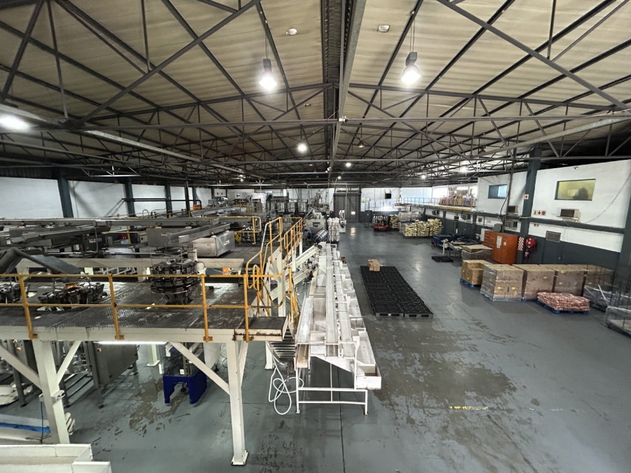 To Let commercial Property for Rent in Epping Industrial Western Cape